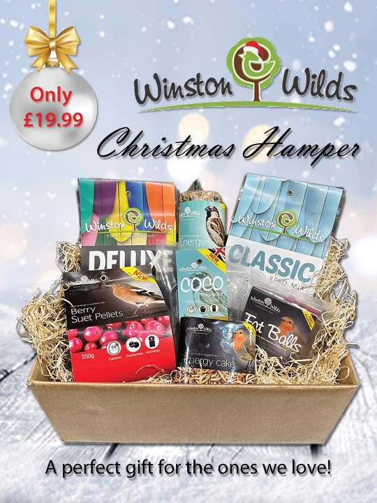 Winston Wilds Variety Gift Hamper