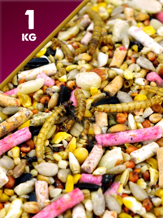 1kg Deluxe Seed Mix