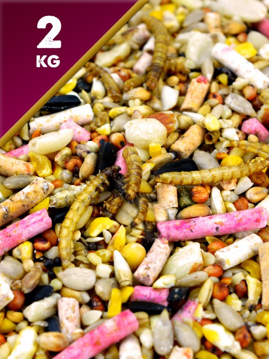 2kg Deluxe Seed Mix