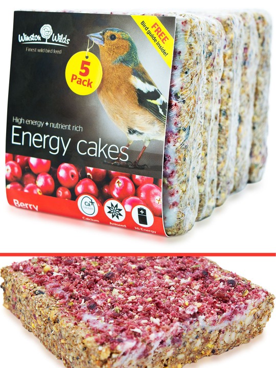 Berry Energy Cake (5 Pack)