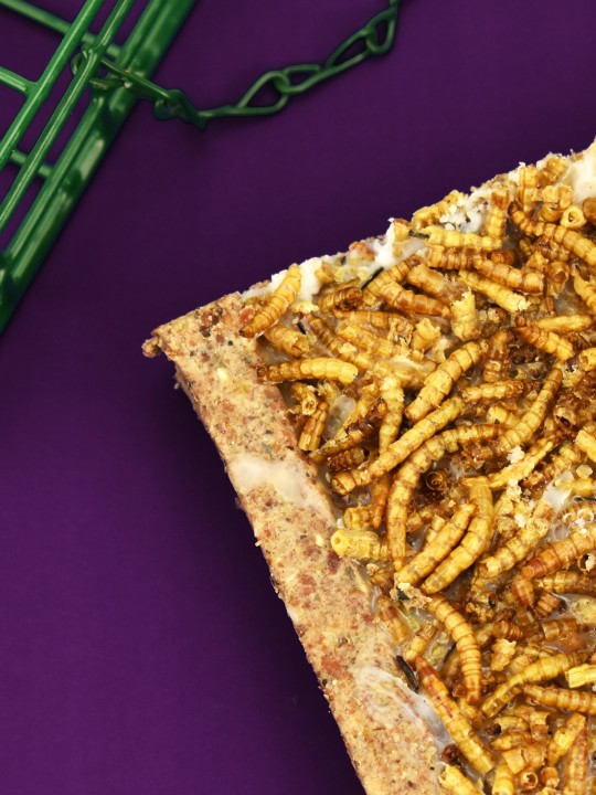 10 Pack Mealworm Energy Cake