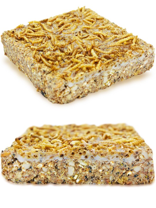 Mealworm Energy Cake (5 Pack)
