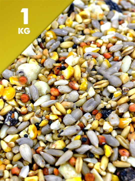 1kg No Waste Extra Seed Mix