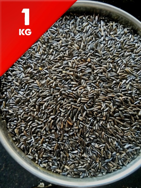 1kg Nyjer Seed