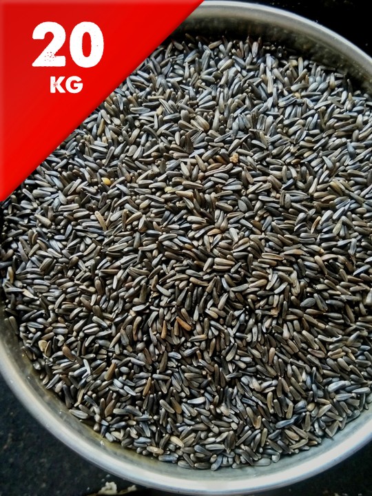 20kg Nyjer Seed