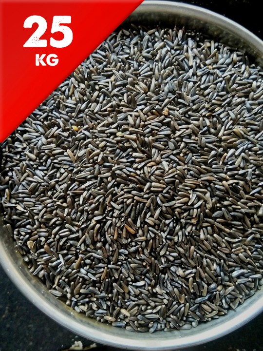 25kg Nyjer Seed