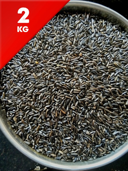 2kg Nyjer Seed