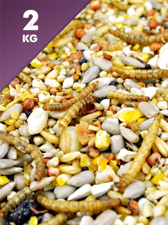 2kg Seed & Mealworm Mix