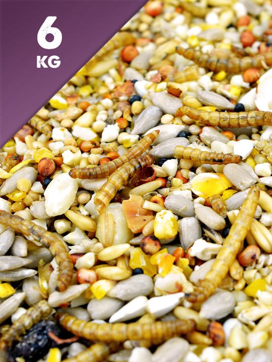 6kg Seed & Mealworm Mix
