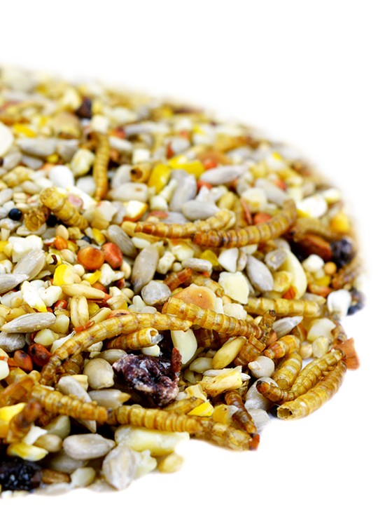 12.5kg Seed & Mealworm Mix