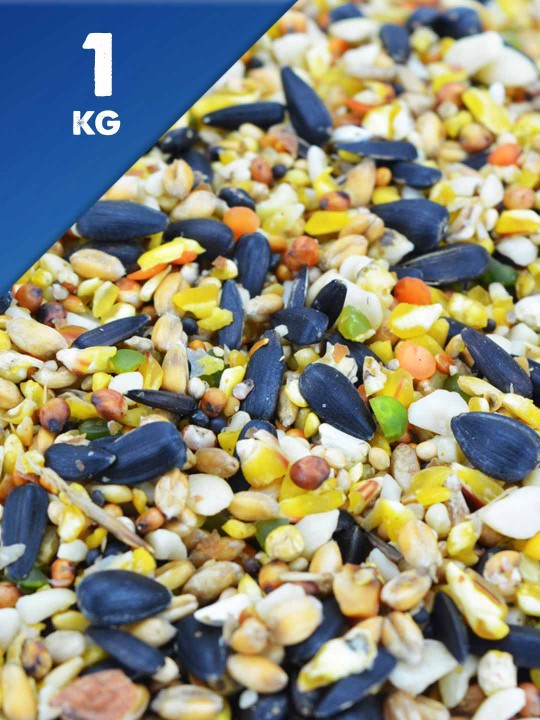 1kg Superior Seed Mix Extra